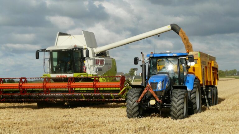 Dan Rees, West Wales farmer